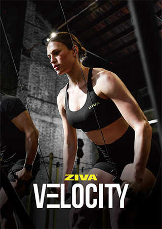 2026-ZIVA_VELOCITY_CATALOG